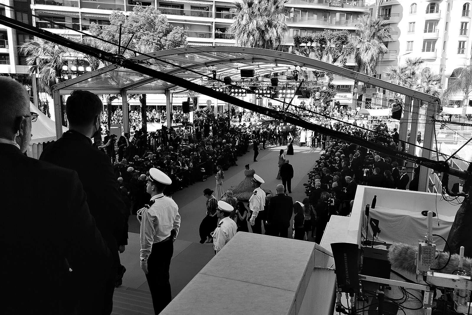 Photographers and guests lining the red carpet steps of the Palais des Festivals in Cannes, seen from above